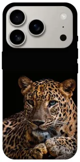 Чохол на Apple iPhone 18 Pro Leopard v4 фото 1 з 2