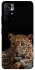 Чехол на Xiaomi Poco M4 Pro 5G Leopard v4 фото 1 из 1