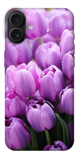 Чехол на Apple iPhone 16 Plus Фиолетовые тюльпаны фото 1 из 1