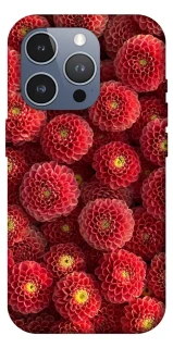 Чехол на Apple iPhone 16 Pro Max Midnight1 фото 1 из 1