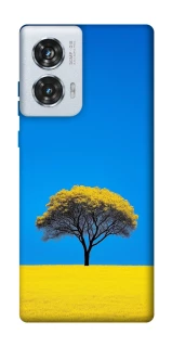 Чехол на Motorola Edge 50 Fusion Field v2 фото 1 из 1