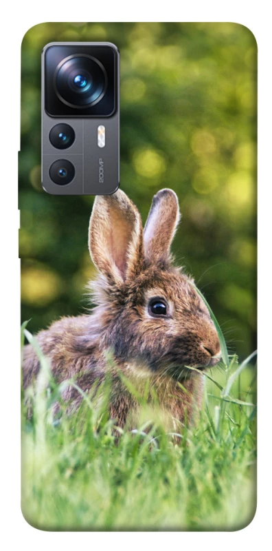 Чехол на Xiaomi 12T / 12T Pro Кролики фото 1 из 1