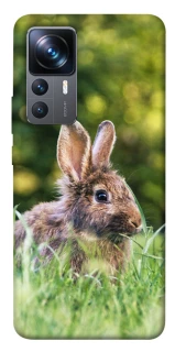 Чехол на Xiaomi 12T / 12T Pro Кролики фото 1 из 1