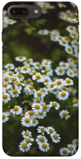 Чехол на Apple iPhone 7 plus / 8 plus Ромашки v13 фото 1 из 1