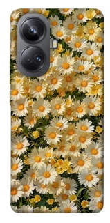 Чехол на Realme 10 Pro+ Camomile фото 1 из 1