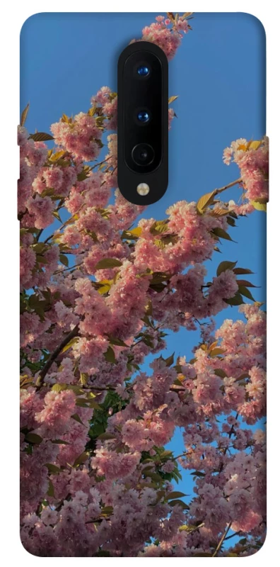 Чохол на OnePlus 8 Flowers v4 фото 1 з 1