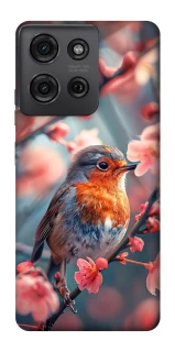 Чехол на Motorola Moto G75 Birdie фото 1 из 1
