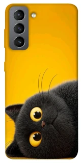 Чохол на Samsung Galaxy S21 FE This is Cat фото 1 з 1