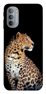 Чохол на Motorola Moto G31 Leopard v2 фото 1 з 1