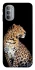 Чехол на Motorola Moto G31 Leopard v2 фото 1 из 1