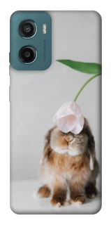 Чохол на Motorola Moto G06 Bunny фото 1 з 1