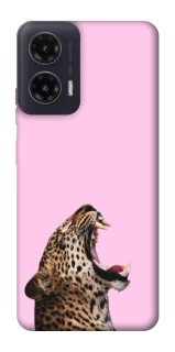 Чехол на Motorola Moto G35 Leopard Meow фото 1 из 1