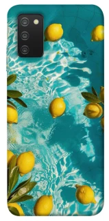 Чохол на Samsung Galaxy A03s Lemon фото 1 з 1