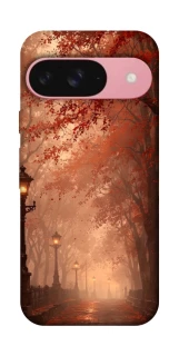 Чехол на Google Pixel 9 boulevard фото 1 из 1