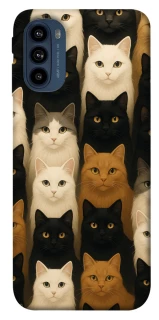 Чехол на Motorola Moto G41 Colorful Cat Collage фото 1 из 1