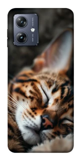 Чохол на Motorola Moto G54 Cat paws фото 1 Чохол на Motorola Moto G54 Cat paws фото 1 з 1