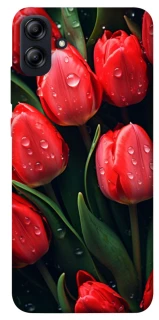 Чохол на Samsung Galaxy A04e Червоні тюльпани фото 1 Чохол на Samsung Galaxy A04e Червоні тюльпани фото 1 з 1