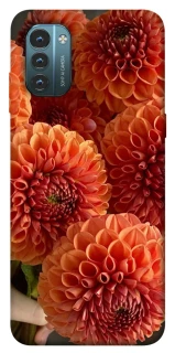 Чохол на Nokia G21 Flower1 фото 1 з 1