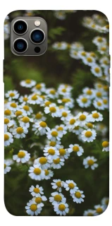 Чехол на Apple iPhone 12 Pro (6.1") Ромашки v13 фото 1 из 1