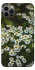 Чехол на Apple iPhone 12 Pro (6.1") Ромашки v13 фото 1 из 1