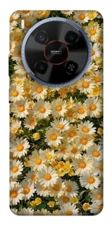 Чохол на ZTE Blade V70 Max Camomile фото 1 з 1