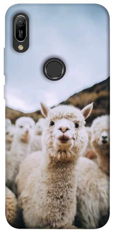Чохол на Huawei Y6 (2019) Лама фото 1 з 1