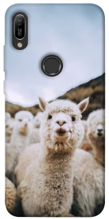 Чохол на Huawei Y6 (2019) Лама фото 1 з 1
