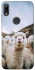 Чохол на Huawei Y6 (2019) Лама фото 1 з 1