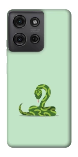 Чехол на Motorola Moto G75 Змейка фото 1 из 1
