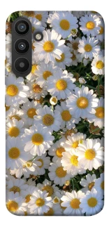 Чехол на Samsung Galaxy A34 5G Поле ромашек фото 1 из 1