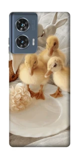 Чехол на Motorola Edge 50 Easter Vibes фото 1 из 1