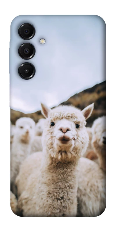 Чохол на Samsung Galaxy A16 4G/5G Лама фото 1 з 1