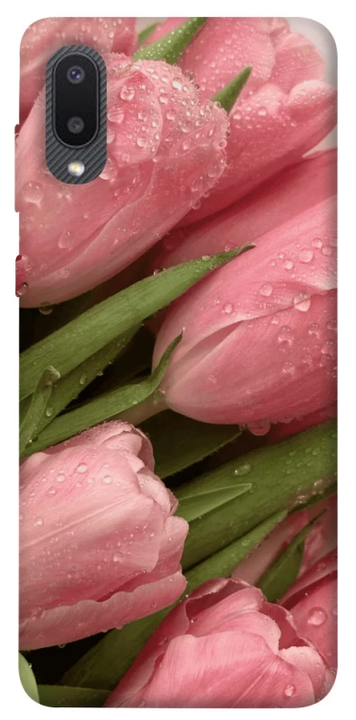 Чехол на Samsung Galaxy A02 Beauty фото 1 из 1