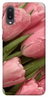 Чехол на Samsung Galaxy A02 Beauty фото 1 из 1