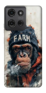 Чохол на Motorola Moto G75 Шимпанзе v3 фото 1 з 1