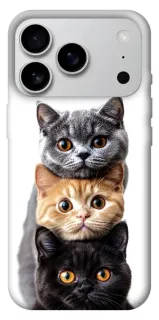 Чехол на Apple iPhone 18 Pro Max Красивые котики фото 1 из 1