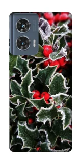 Чехол на Motorola Edge 50 Новогодний v32 фото 1 из 1