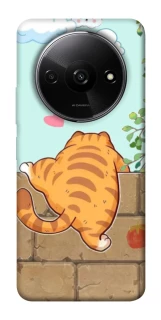 Чохол на Xiaomi Redmi A3 Cat the meow фото 1 з 1