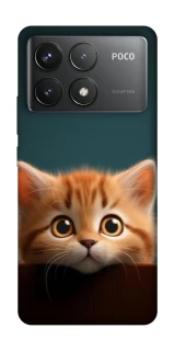 Чохол на Xiaomi Poco F6 Pro Чохол Кошеня фото 1 з 1