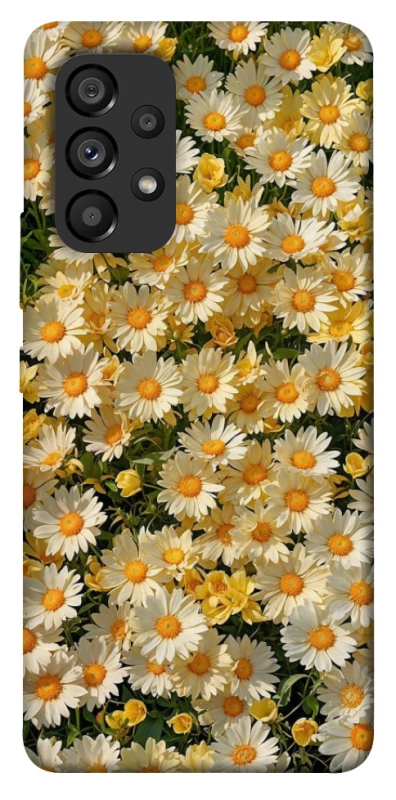 Чохол на Samsung Galaxy A53 5G Camomile фото 1 з 1