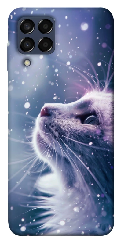 Чехол на Samsung Galaxy M33 5G Snow cat фото 1 из 1