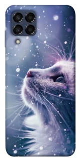 Чехол на Samsung Galaxy M33 5G Snow cat фото 1 из 1