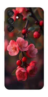 Чохол на Samsung Galaxy M15 5G Flowers v28 фото 1 з 1