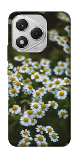 Чехол на Honor 400 Lite Ромашки v13 фото 1 из 1