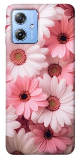 Чехол на Motorola Moto G84 Розовые цветы v2 фото 1 из 1