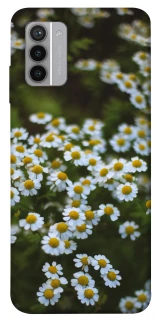 Чехол на Nokia G42 Ромашки v13 фото 1 из 1