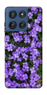 Чохол на Motorola Edge 60 Stylus Flowers v17 фото 1 з 1