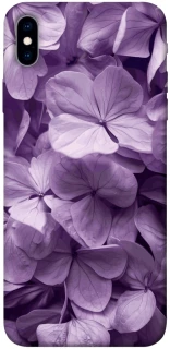 Чехол на Apple iPhone XS Max (6.5") Floral Symphony фото 1 из 1