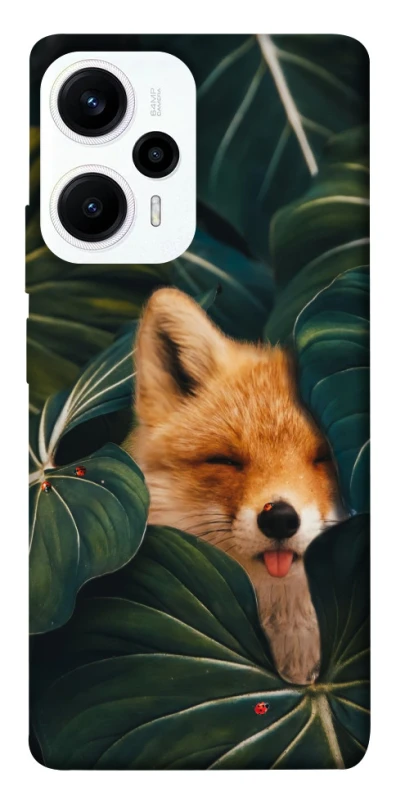 Чохол на Xiaomi Poco F5 / Note 12 Turbo Fox фото 1 з 1