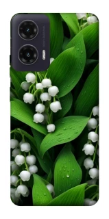 Чохол на Motorola Moto G35 Flowers v24 фото 1 з 1
